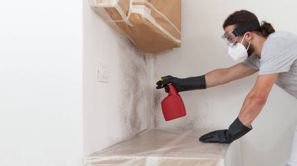 Professional Bathroom Mold Removal technician working in Highland Park, TX