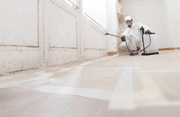24/7 Emergency Bathroom Mold Removal experts in Highland Park, TX